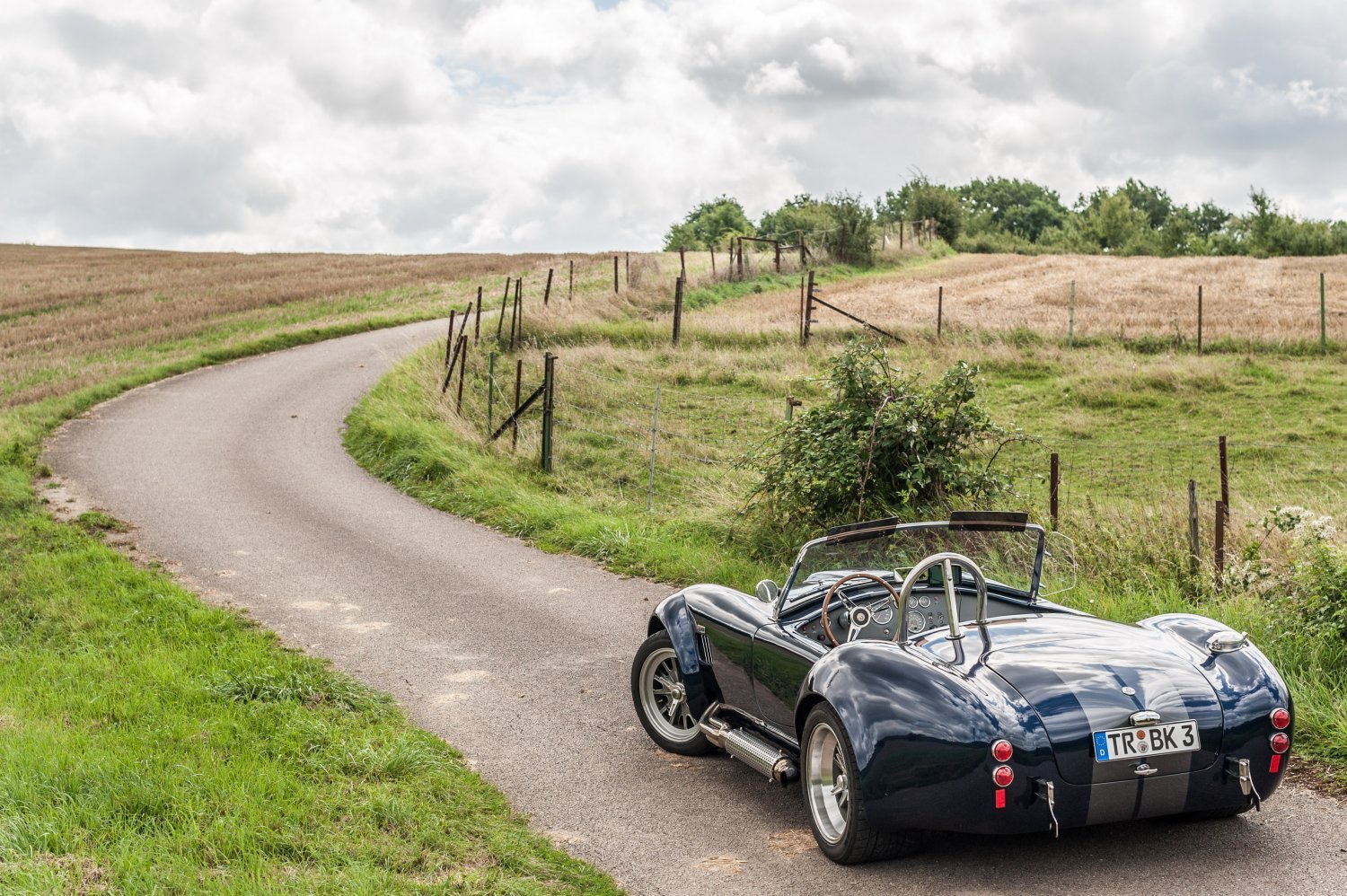 Ashley - 1965 Shelby Cobra by Backdraft Racing