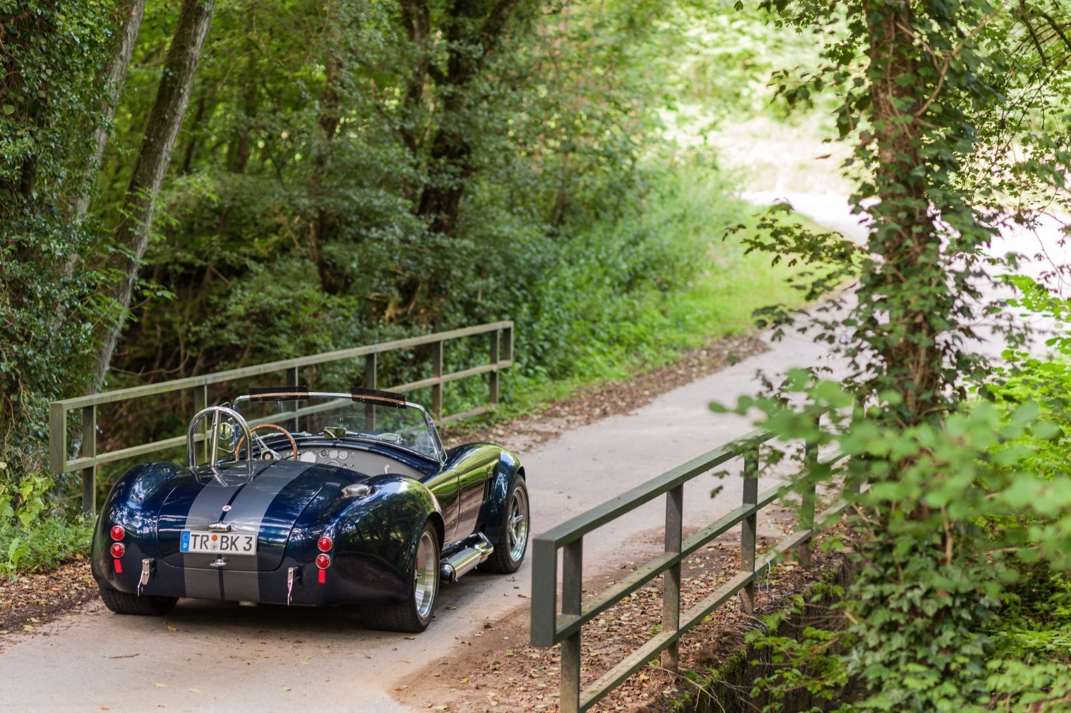 Ashley - 1965 Shelby Cobra by Backdraft Racing